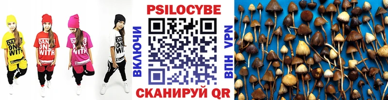 Псилоцибиновые грибы Cubensis  кракен tor  Катав-Ивановск  хочу  
