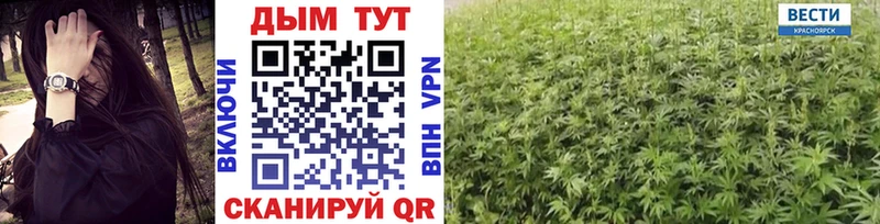 где купить   Катав-Ивановск  Бошки марихуана Bruce Banner 